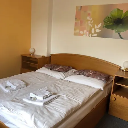 Samoobsluzny Vydra Aparthotel 3*